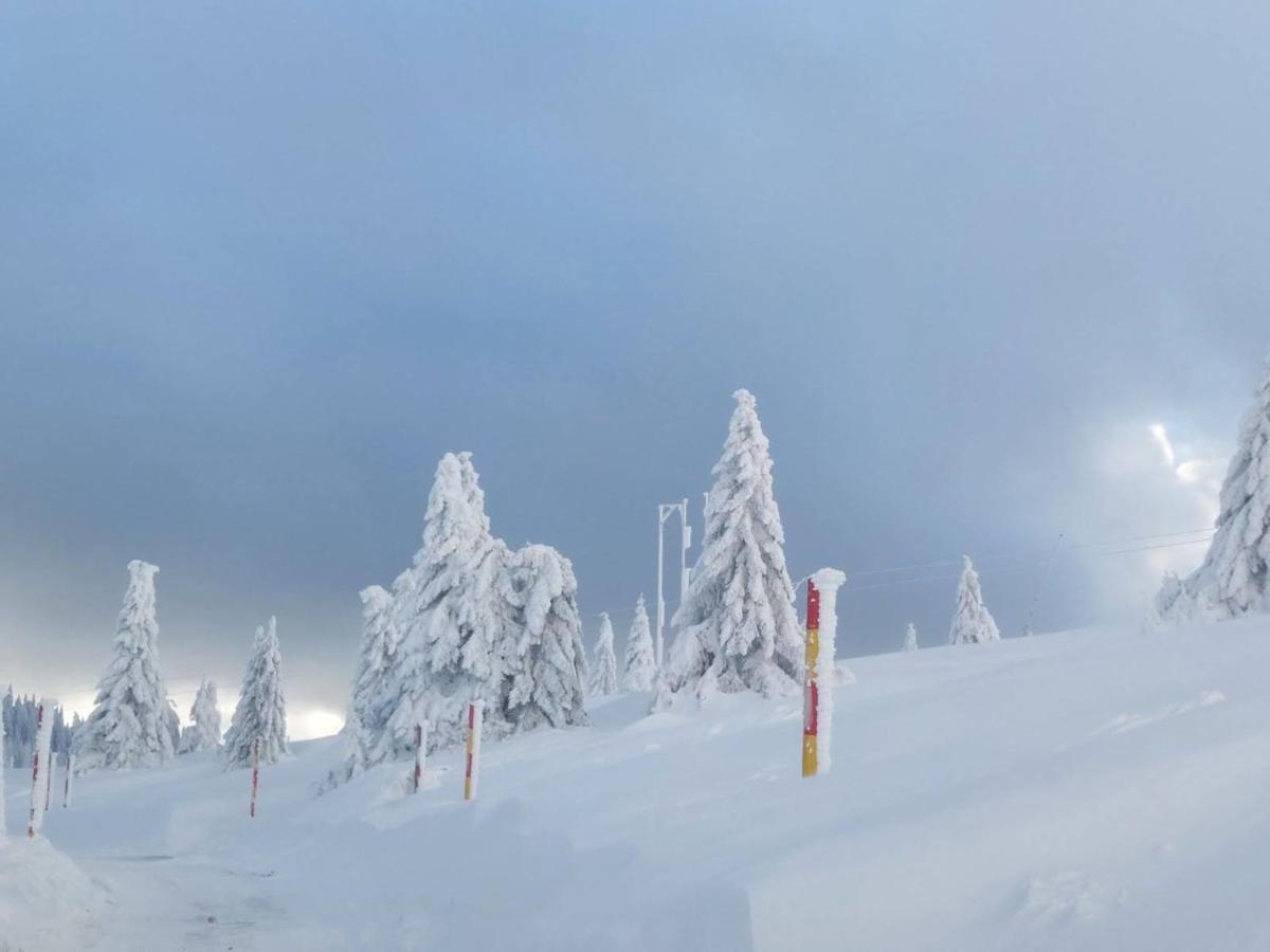 Apartman D&V Milmari Resort S10 Kopaonik Buitenkant foto