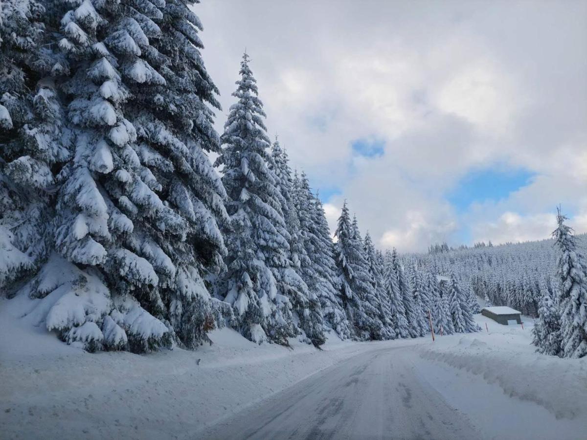 Apartman D&V Milmari Resort S10 Kopaonik Buitenkant foto