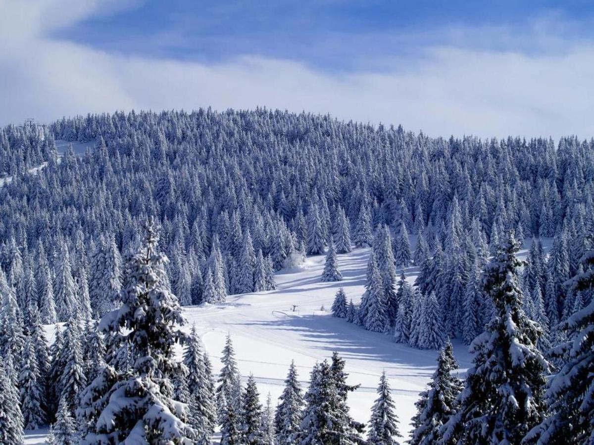 Apartman D&V Milmari Resort S10 Kopaonik Buitenkant foto